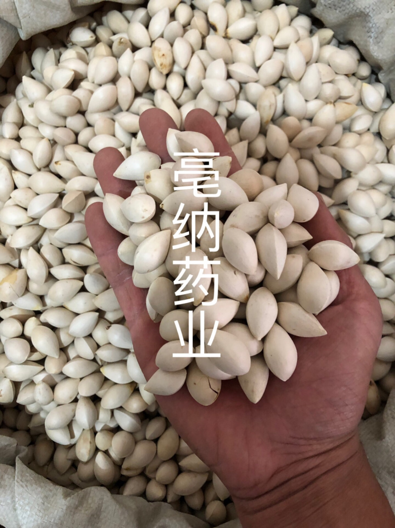 白果中药材优质白果1⃣️公斤起批壳白银杏果