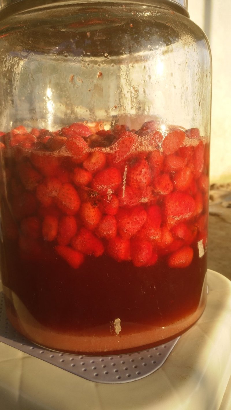 自制草莓酵素原液