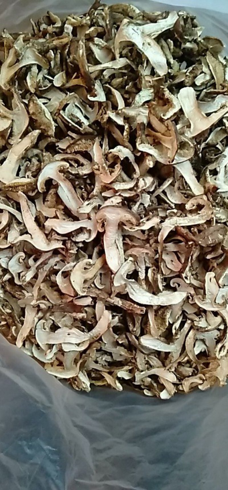 松茸黑虎掌干货供应