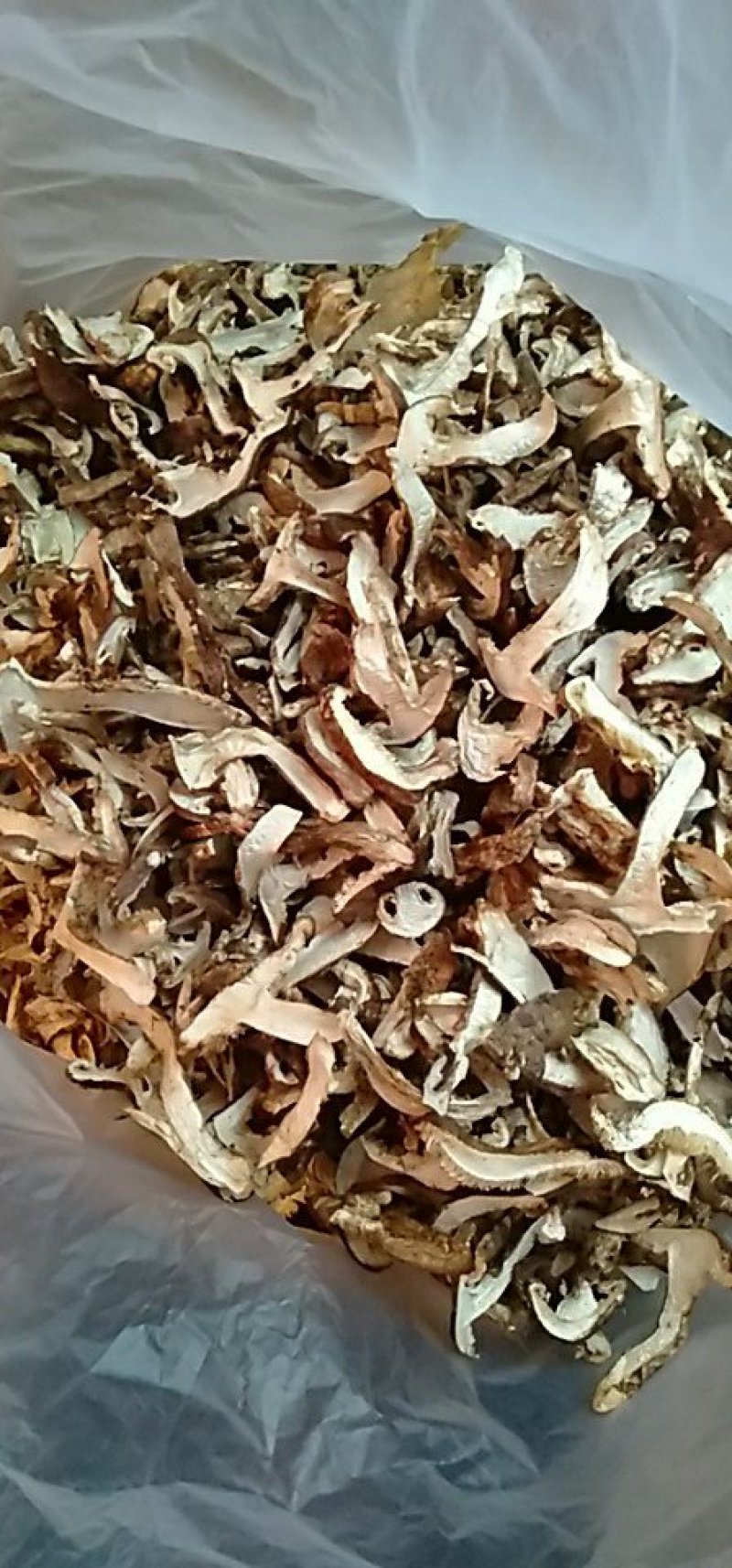 松茸黑虎掌干货供应