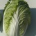 大白菜