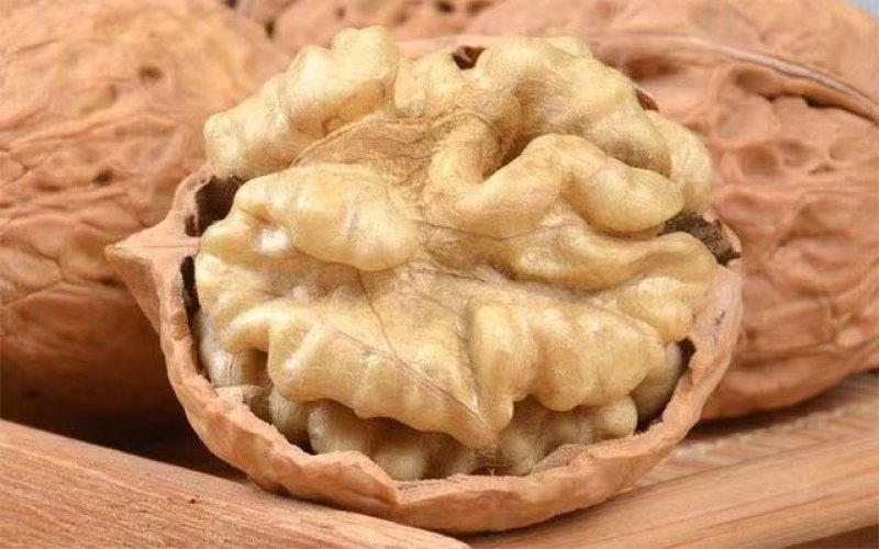 云南纸皮核桃