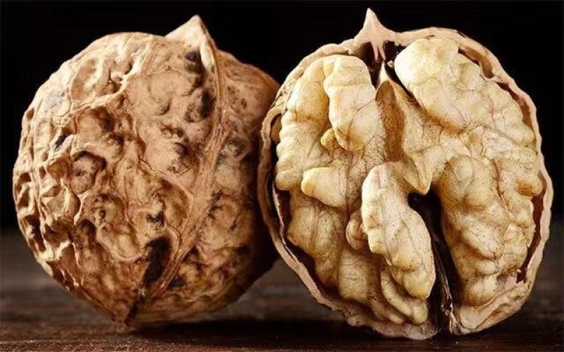 云南纸皮核桃