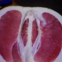 汁多味儿甜咱们任性！老板们喜欢！每天出货中！早砸单哟！