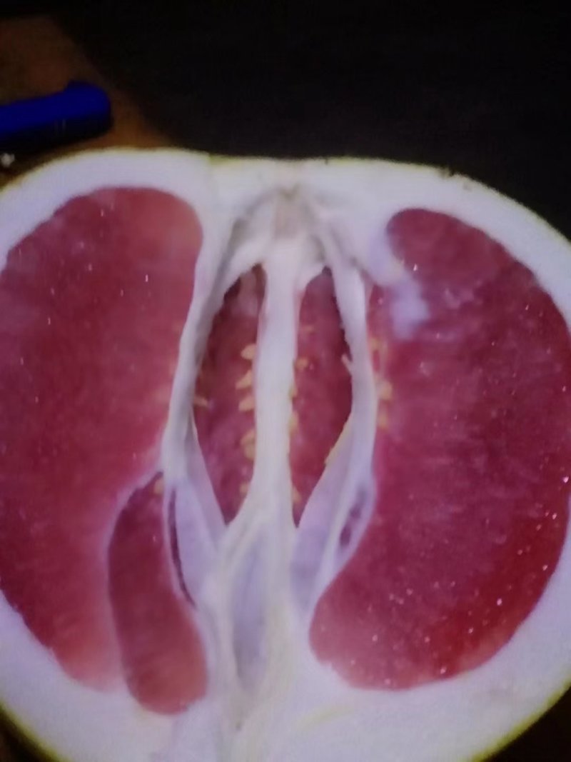 汁多味儿甜咱们任性！老板们喜欢！每天出货中！早砸单哟！