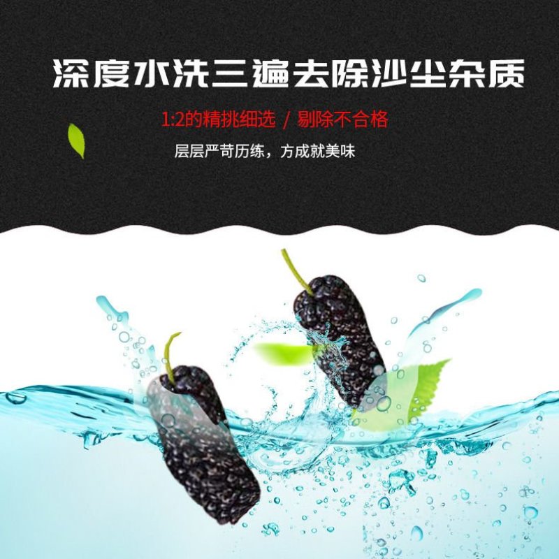 新鲜野生无沙免洗桑葚干特级桑椹干桑果桑椹子精选黑桑椹