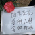 四季茶花可批发