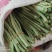 皮筋捆菜专用橡皮筋加宽绑菜橡皮筋绑蔬菜用橡皮筋