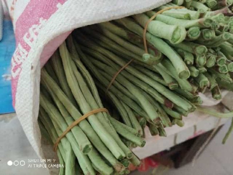 皮筋捆菜专用橡皮筋加宽绑菜橡皮筋绑蔬菜用橡皮筋