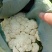 花菜有机散花青更白面基地直供超可供市走市场万亩基地量大
