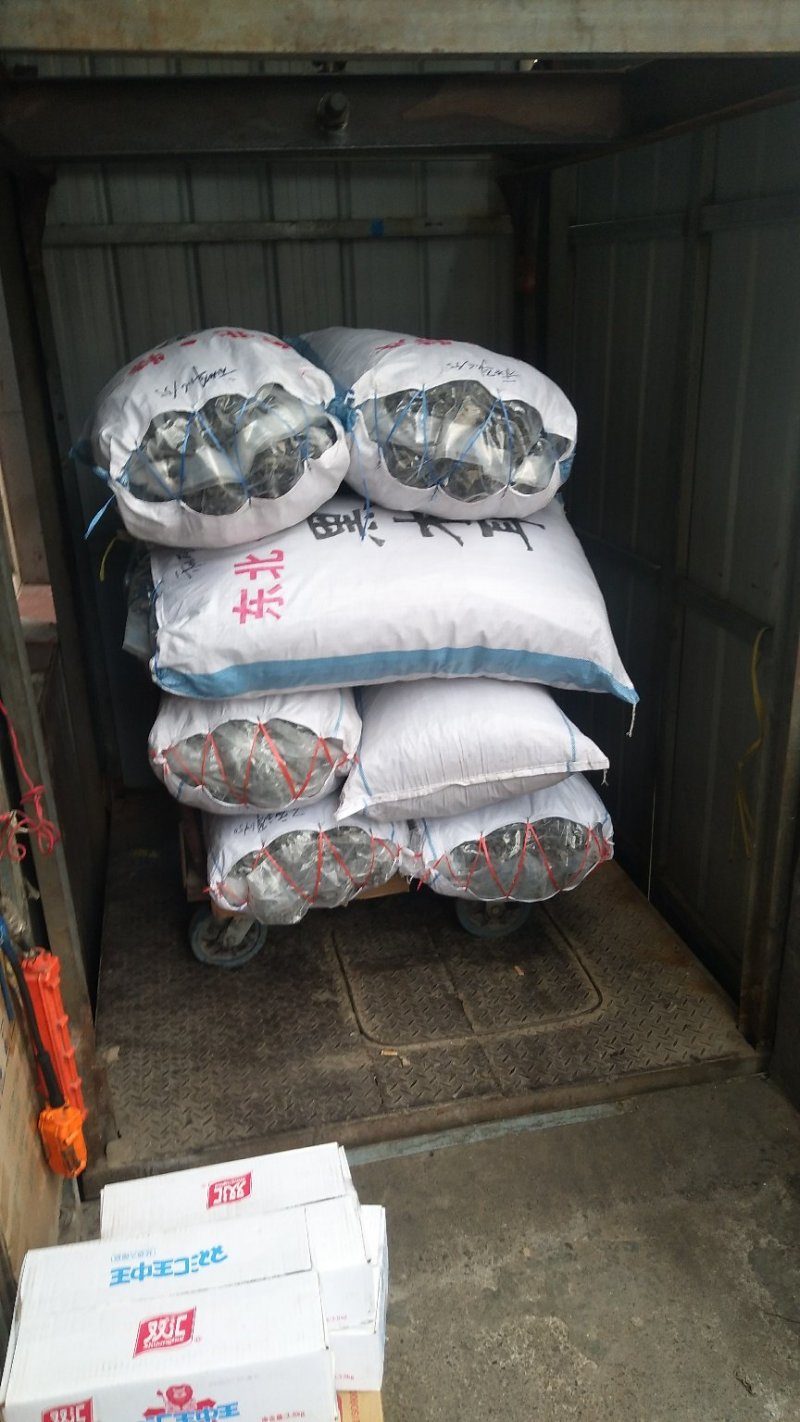 正宗东北特级农家精品林下产黑山碗云耳
