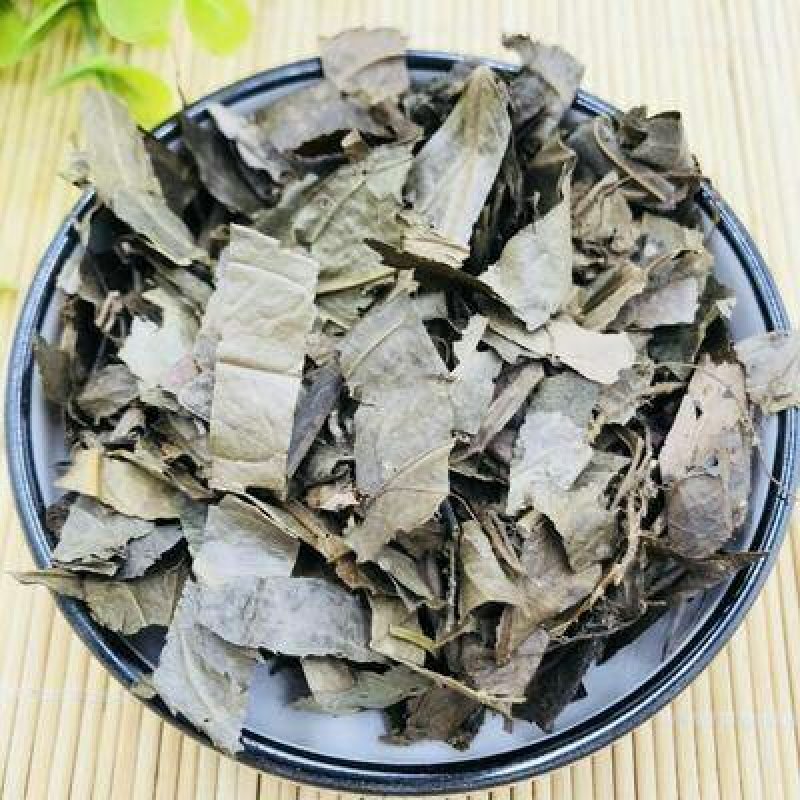 腹水草千余品种供应承接订单