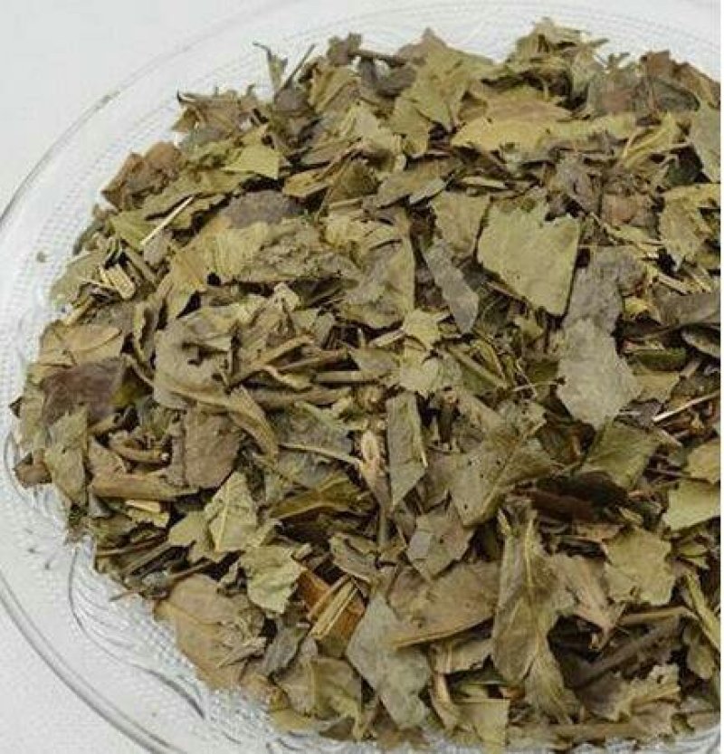 腹水草千余品种供应承接订单