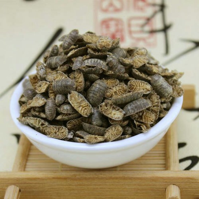 鼠妇虫潮虫湿生虫千余品种供应承接订单