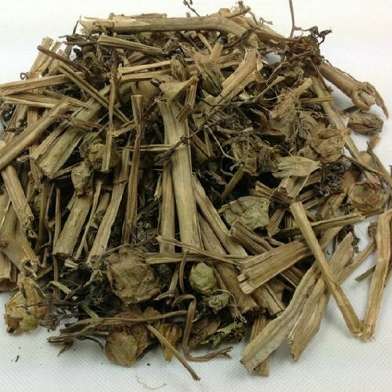 酸浆草灯笼草千余品种供应承接订单