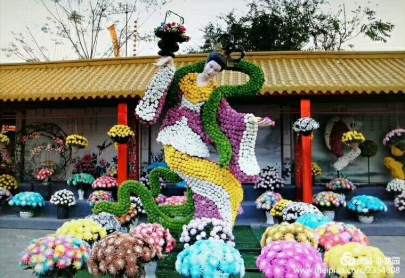 菊花