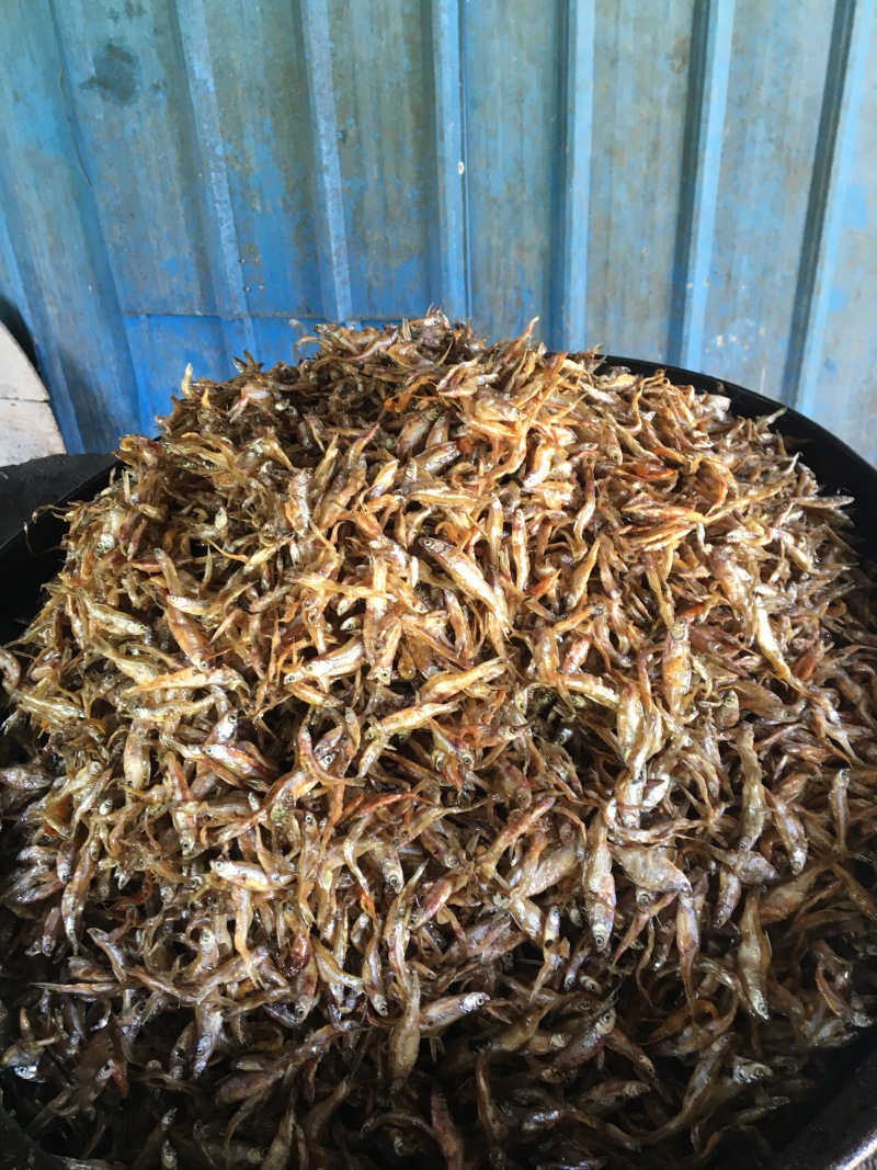 油炸白肖鱼、白条鱼