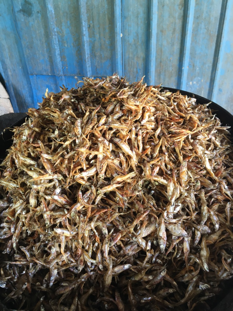 油炸白肖鱼、白条鱼