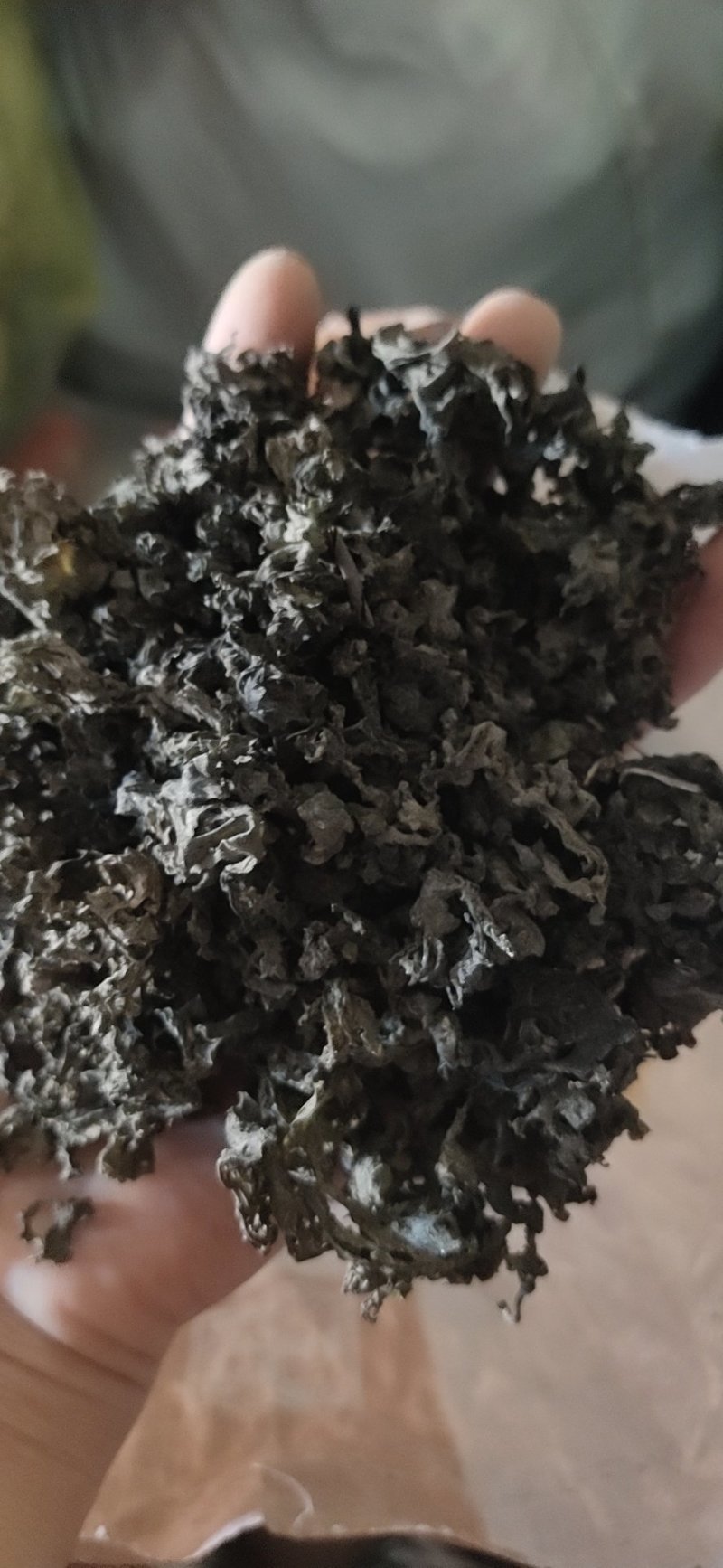 地皮菜