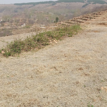 山地对外承包转让
