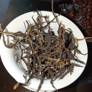 古树红