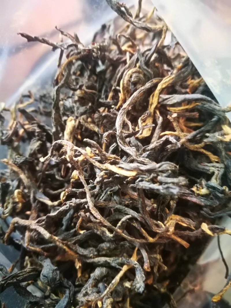 古树红