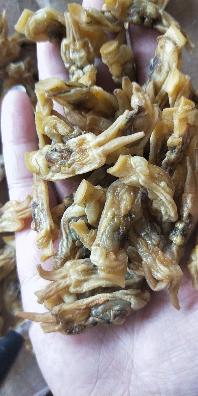 福建熟蛏干