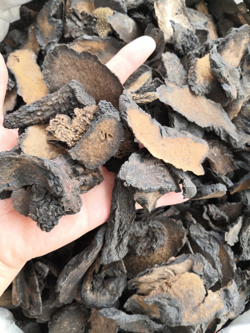 无硫原装硬质肉苁蓉大芸各种中药材新货