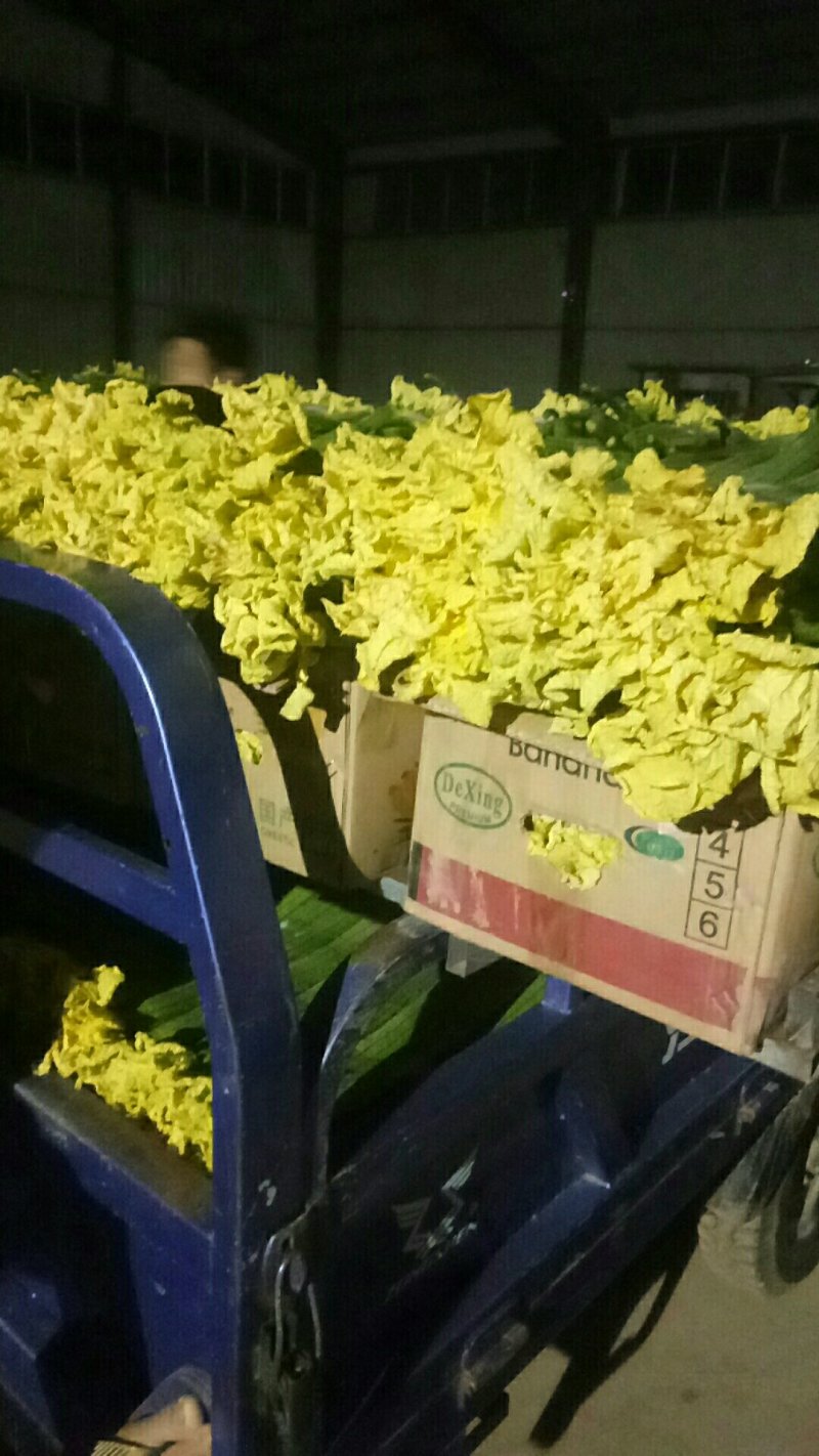 鲜花丝瓜，瓜条直，颜色绿，质量杠杠的，随时欢迎骚扰。