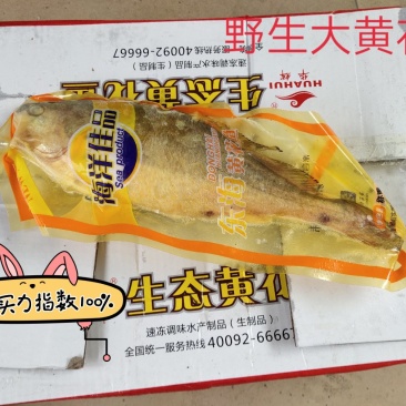 黄花鱼