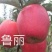 爱妃水蜜桃苹果苗蜜脆秦脆众成三号当年结果死苗补