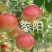 爱妃水蜜桃苹果苗蜜脆秦脆众成三号当年结果死苗补