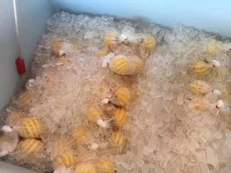 正宗泰国进口纯甜削皮小菠萝又脆又甜，好吃的菠萝