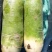 水果青萝卜，口感青脆，脆甜美味。