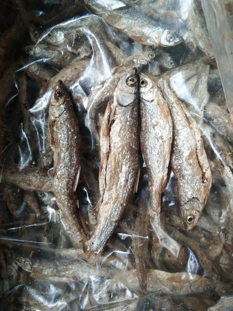 10公分左右开肚鱼干炸鱼开肚鱼干，原汁原味无添加