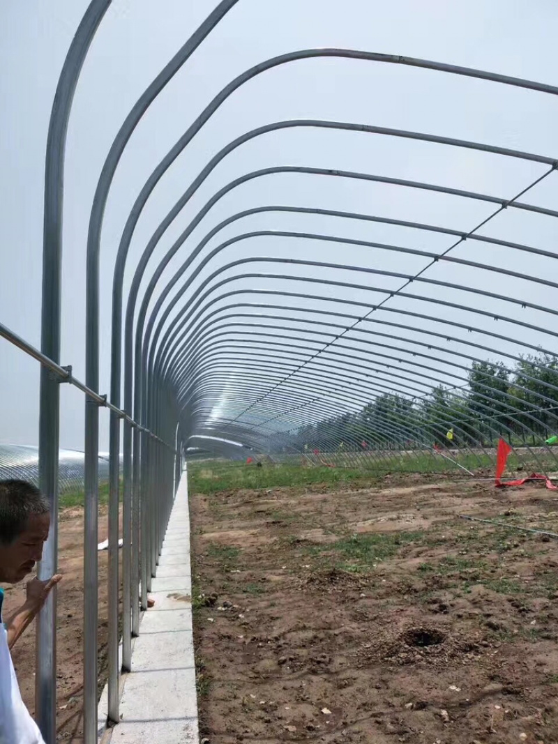 厂家直销:大棚圆管，方管，椭圆管，可加工定尺！加工范围