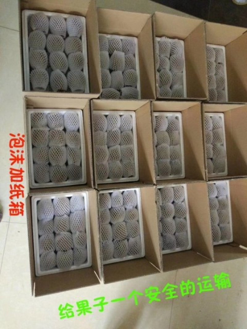轩琦徐香猕猴桃来自猕猴桃之都——周至，味道美口感佳