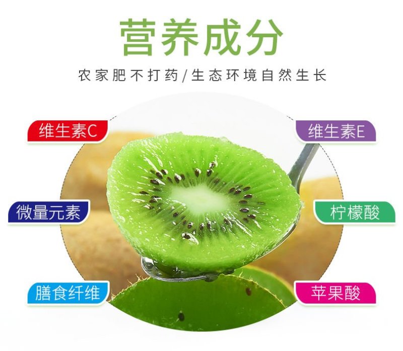 轩琦徐香猕猴桃来自猕猴桃之都——周至，味道美口感佳