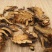 贯众千余品种供应承接订单