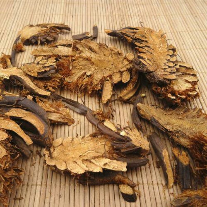 贯众千余品种供应承接订单