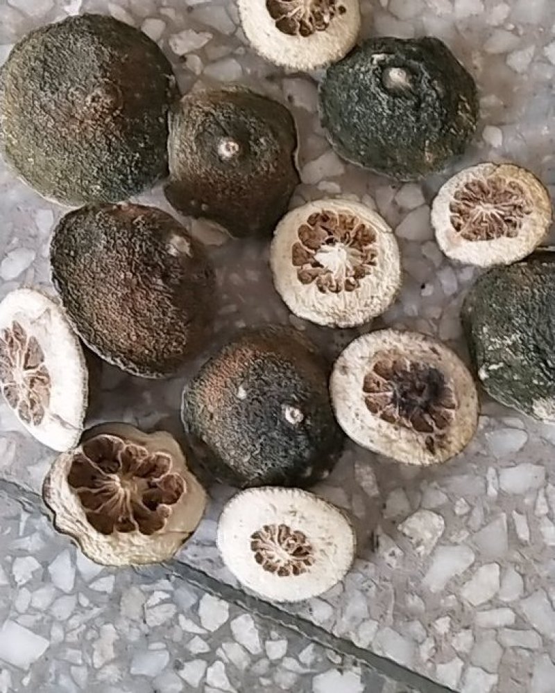 枳壳，湖北产地直销，无杂质无硫纯手切瓣统货干品
