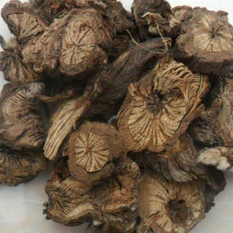 漏芦千余品种供应承接订单