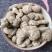 水田七，道地药材，质优价实，品质保证，药典标准一公斤起批