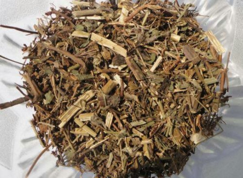 獐牙菜胆炎草千余品种供应承接订单
