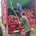榉树基地1一20公分现货批发，现货长期有效。