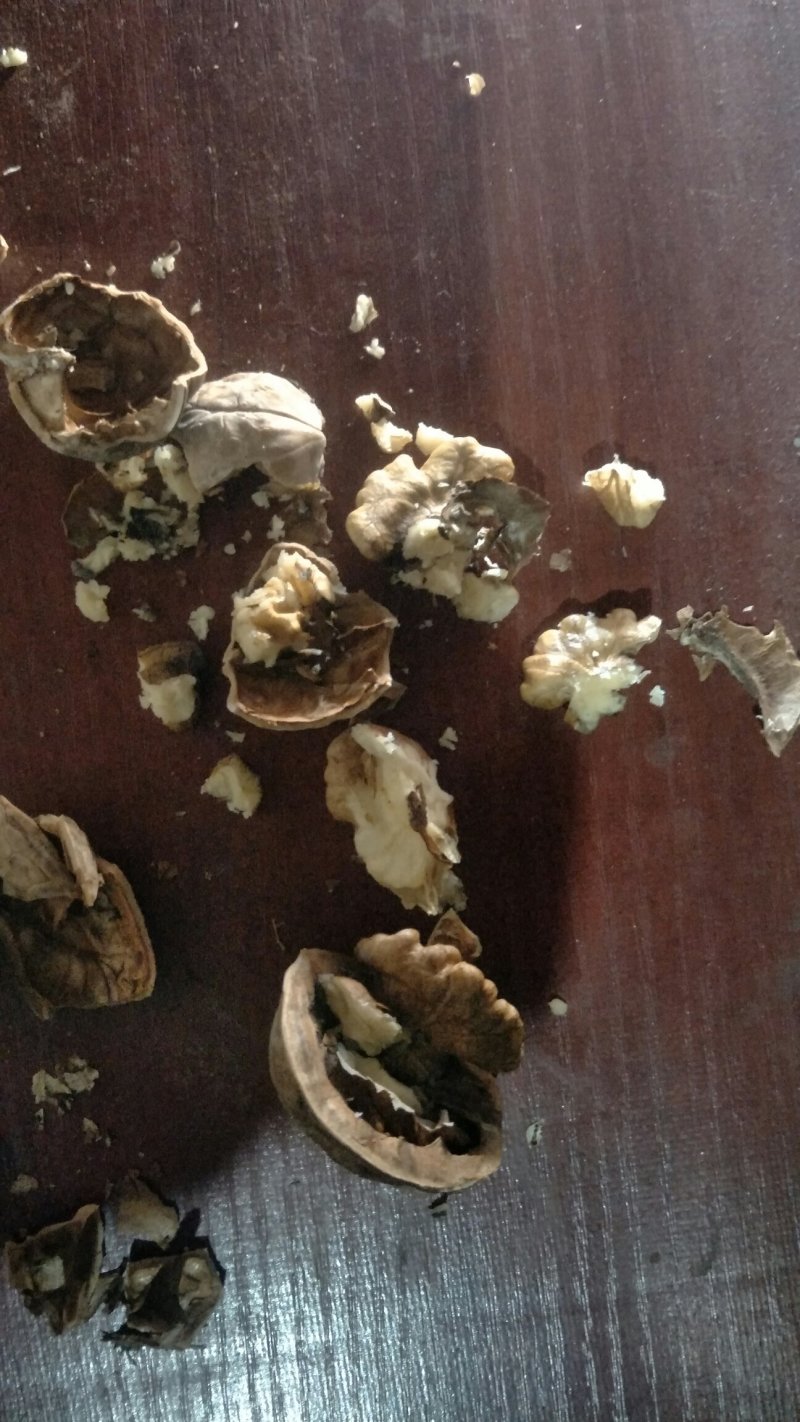 老品种核桃