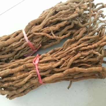 胡椒根，产地海南道地药材，质优价实，品质保证，药典标准