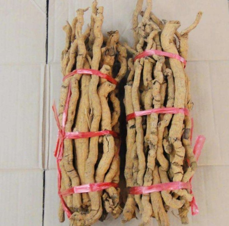 胡椒根，产地海南道地药材，质优价实，品质保证，药典标准