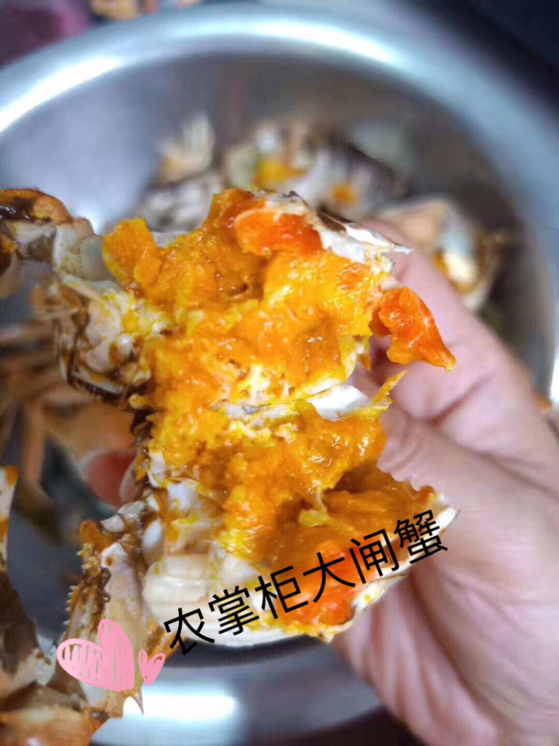 螃蟹类