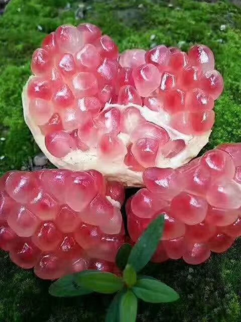 蒙自石榴